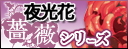 薔薇シリーズ