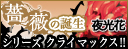 薔薇の誕生